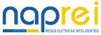 Logo NAPREI